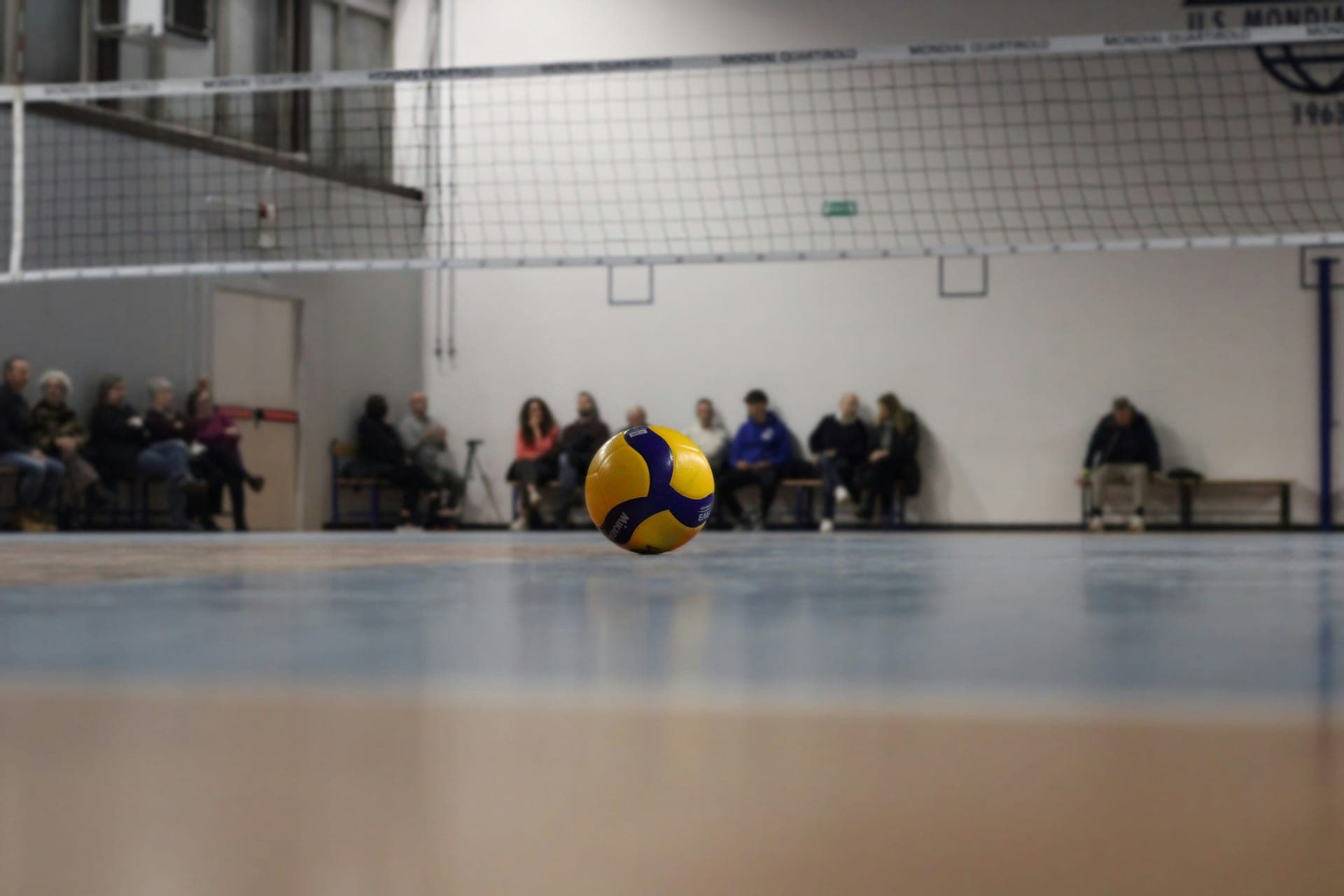 Header Image